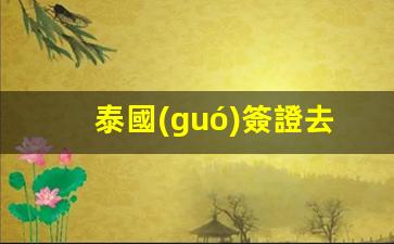 泰國(guó)簽證去哪里簽證(泰國(guó)簽證怎么辦理)