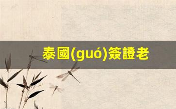 泰國(guó)簽證+老撾落地簽攻略，一站式解決泰國(guó)入境與老撾簽證難題