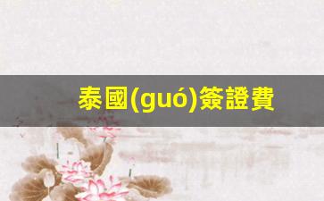 泰國(guó)首次入境簽證費(fèi)用是多少？對(duì)比中國(guó)簽證費(fèi)用一覽