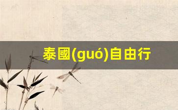 泰國(guó)自由行可以逗留幾天(泰國(guó)自由行需要準(zhǔn)備什么手續(xù))