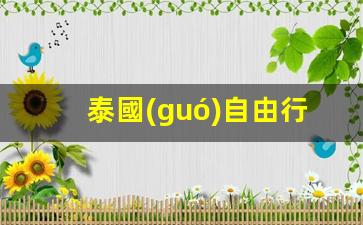 泰國(guó)自由行攻略及費(fèi)用(泰國(guó)自由行必去的景點(diǎn))