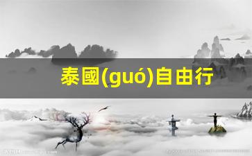 泰國(guó)自由行費(fèi)用大概多少(泰國(guó)自由行簽證怎么辦)