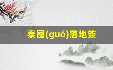 泰國(guó)落地簽攻略，三步輕松入境，掌握最新政策要點(diǎn)
