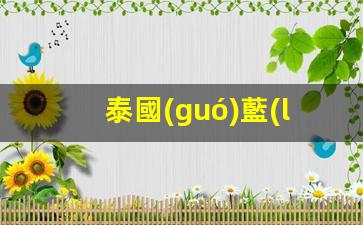 泰國(guó)藍(lán)卡如何激活銀行卡(泰國(guó)卡有幾種)