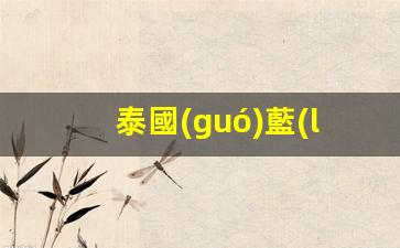 泰國(guó)藍(lán)卡怎么激活銀行卡(泰國(guó)卡dtac怎么激活)