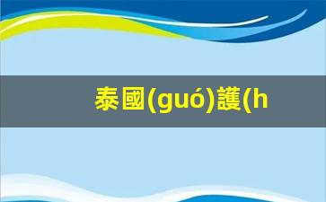 泰國(guó)護(hù)照辦理攻略，詳細(xì)流程、費(fèi)用解析及辦理時(shí)效揭秘