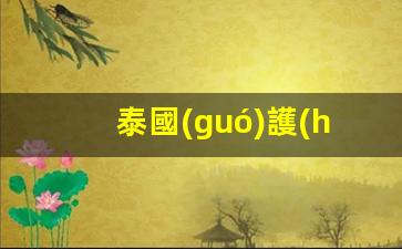 泰國(guó)護(hù)照辦理需要什么材料和手續(xù)(泰國(guó)護(hù)照好辦嗎)