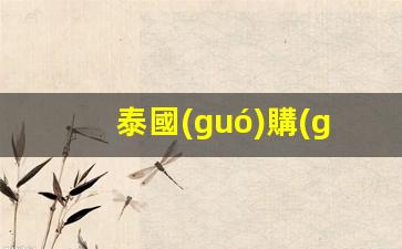 泰國(guó)購(gòu)房和開立銀行卡(泰國(guó)買房如何匯款)