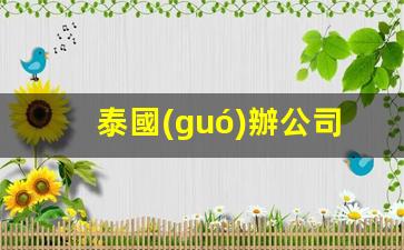 泰國(guó)辦公司工作簽費(fèi)用(泰國(guó)工作簽證辦理流程)