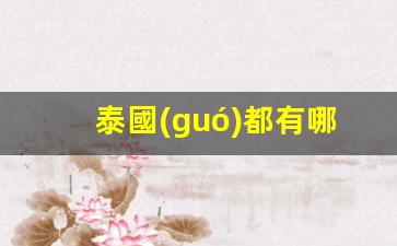泰國(guó)都有哪些國(guó)際銀行卡(泰國(guó)都有哪些國(guó)際銀行卡號(hào))