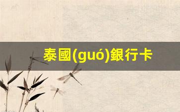 泰國(guó)銀行卡輕松實(shí)現(xiàn)網(wǎng)上購(gòu)物，跨境支付無障礙體驗(yàn)