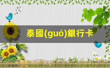 泰國(guó)銀行卡開通網(wǎng)上支付(泰國(guó)銀行卡在中國(guó)怎么取錢)