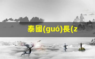 泰國(guó)長(zhǎng)居攜帶銀行卡(泰國(guó)人在中國(guó)辦理銀行卡怎么辦理)