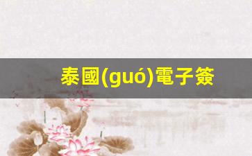 泰國(guó)電子簽證怎么申請(qǐng)的(泰國(guó)電子簽證app)