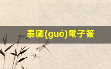 泰國(guó)電子簽證辦理指南pdf(泰國(guó)電子簽證和紙簽有什么區(qū)別)