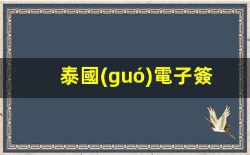 泰國(guó)電子簽證辦理全攻略，詳細(xì)流程解析+真實(shí)體驗(yàn)分享