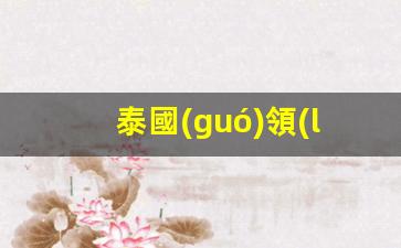 詳解泰國(guó)領(lǐng)事館官網(wǎng)簽證流程，泰國(guó)使館簽證中心一站式服務(wù)指南