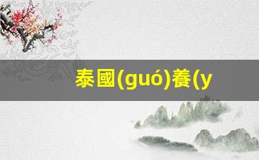 泰國(guó)養(yǎng)老成本揭秘，月均養(yǎng)老費(fèi)用及簽證代辦中介服務(wù)一覽