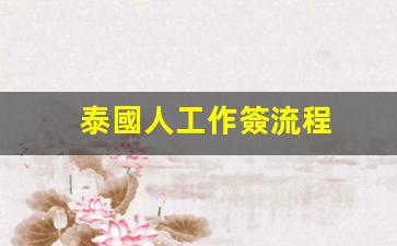 泰國人辦理中國工作簽證全攻略，詳細流程解析及辦理步驟