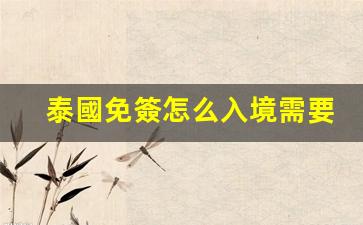 泰國免簽怎么入境需要護(hù)照嗎(泰國免簽怎么入境)