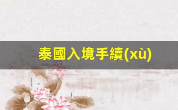 泰國入境手續(xù)都需要什么(泰國入境需要簽證嗎)