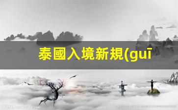 泰國入境新規(guī)定(泰國入境新規(guī)定政策)