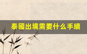 泰國出境必備攻略，詳細手續(xù)與證件一覽