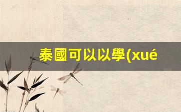 泰國留學(xué)與工作簽證辨析，持有學(xué)簽?zāi)芊窆ぷ?？工作簽?zāi)芊褡x書？