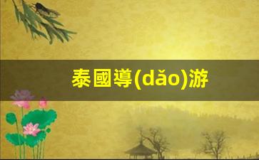 泰國導(dǎo)游(泰國導(dǎo)游多少錢一天)