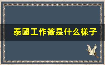 泰國工作簽是什么樣子(泰國工作簽證有效期是多久)