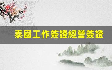 泰國工作簽證經營簽證(泰國人工作簽證)