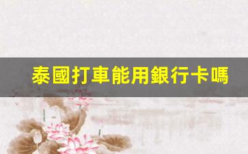 泰國打車能用銀行卡嗎(泰國打車怎么收費)
