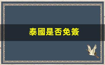 泰國是否免簽(泰國是否免簽最新消息)