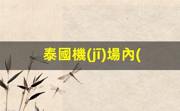 泰國機(jī)場內(nèi)帶銀行卡換匯(泰國機(jī)場atm匯率)