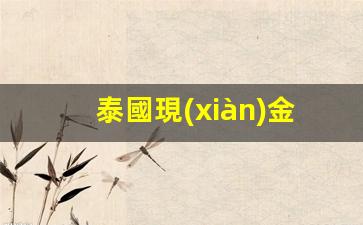 泰國旅游必備攻略，教你輕松將泰銖存入銀行卡，泰國ATM機存款操作指南