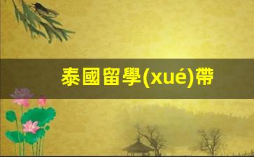 泰國留學(xué)帶什么銀行卡(泰國留學(xué)一年費用)