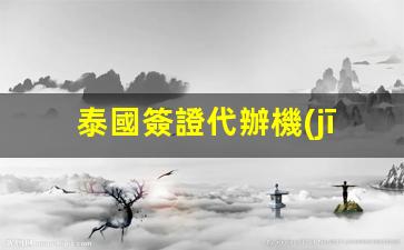 泰國簽證代辦機(jī)構(gòu)(泰國簽證代辦機(jī)構(gòu)昆明)