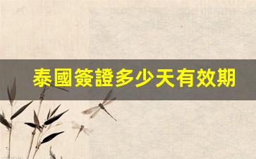 泰國簽證多少天有效期(泰國簽證要多久才能辦下來)