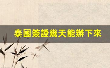 泰國簽證辦理時效及有效期一覽，手續(xù)辦理速度與簽證有效期詳解
