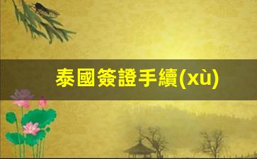 泰國簽證手續(xù)(泰國簽證申請流程)