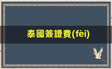 泰國簽證費(fèi)用多少錢一個月(泰國簽證最新政策)