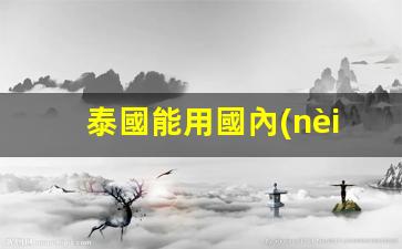 泰國旅行攻略，泰國境內(nèi)銀行卡使用指南及國內(nèi)手機(jī)卡兼容性解析