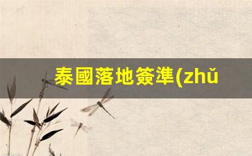 泰國落地簽準(zhǔn)備的資料2019(泰國落地簽需要什么材料)