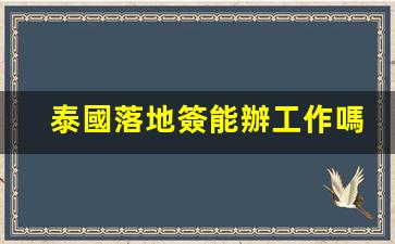 泰國落地簽能辦工作嗎(泰國落地簽可以停留多少天)