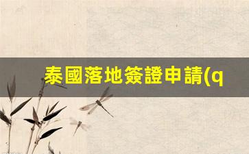 泰國落地簽證申請(qǐng)注意事項(xiàng)(泰國落地簽證申請(qǐng)注意事項(xiàng)有哪些)