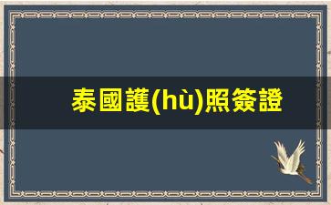 泰國護(hù)照簽證頁詳解，揭秘泰國護(hù)照title name的奧秘