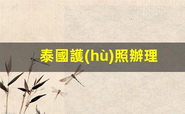 泰國護(hù)照辦理攻略，詳細(xì)流程、費(fèi)用解析及辦理時(shí)效揭秘