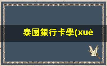 泰國銀行卡學(xué)生能辦嗎(泰國銀行卡學(xué)生能辦嗎知乎)