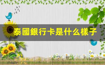 泰國銀行卡是什么樣子(泰國銀行卡辦理流程)