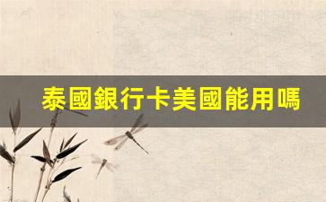 泰國銀行卡美國能用嗎(泰國銀行卡美國能用嗎知乎)